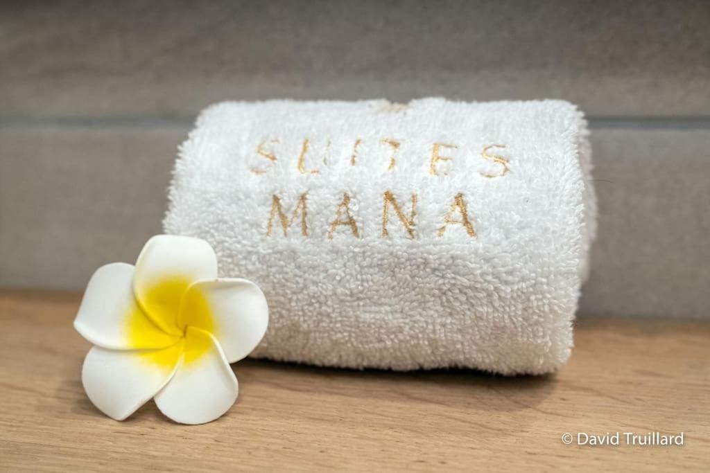 Suites Mana - Matahina Avec Vue Superbe Sur La Place Ducale Et Parking Prive Inclus Charleville-Mézières エクステリア 写真